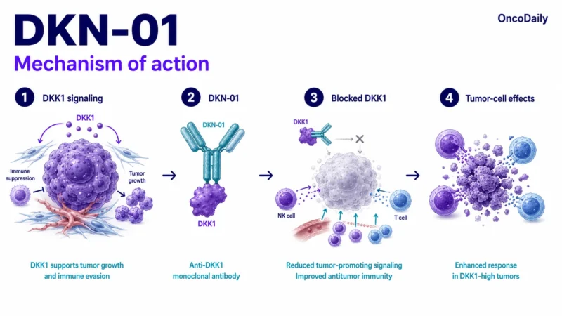 DKN-01: Promising DKK1-Targeted Therapy, Dose, Administration, and Clinical Trials