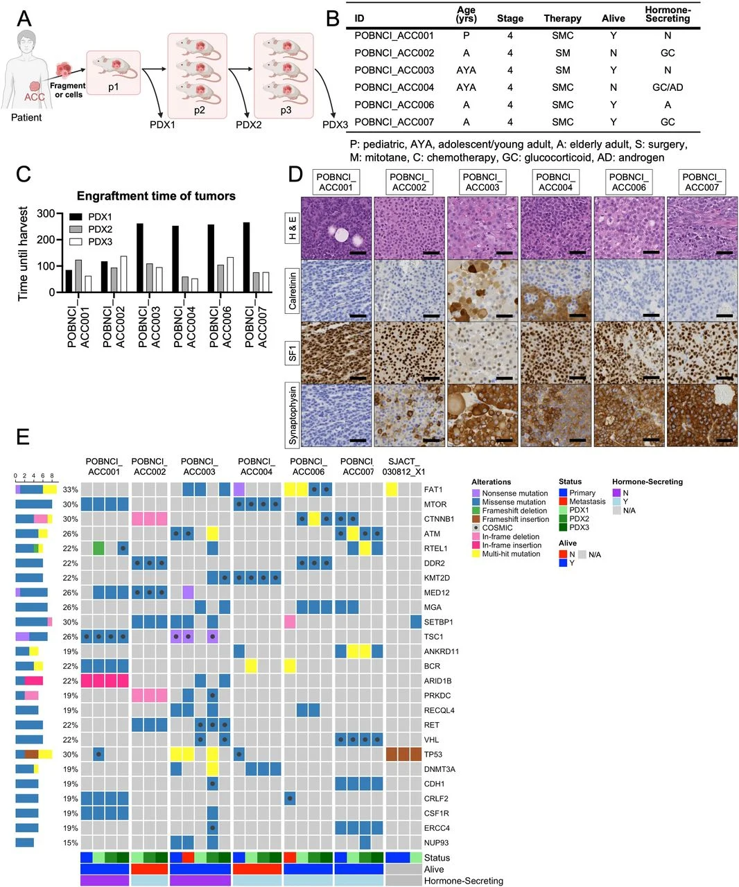 10 Must-Read Posts in Immuno-Oncology This Week 8 immuno-oncology
