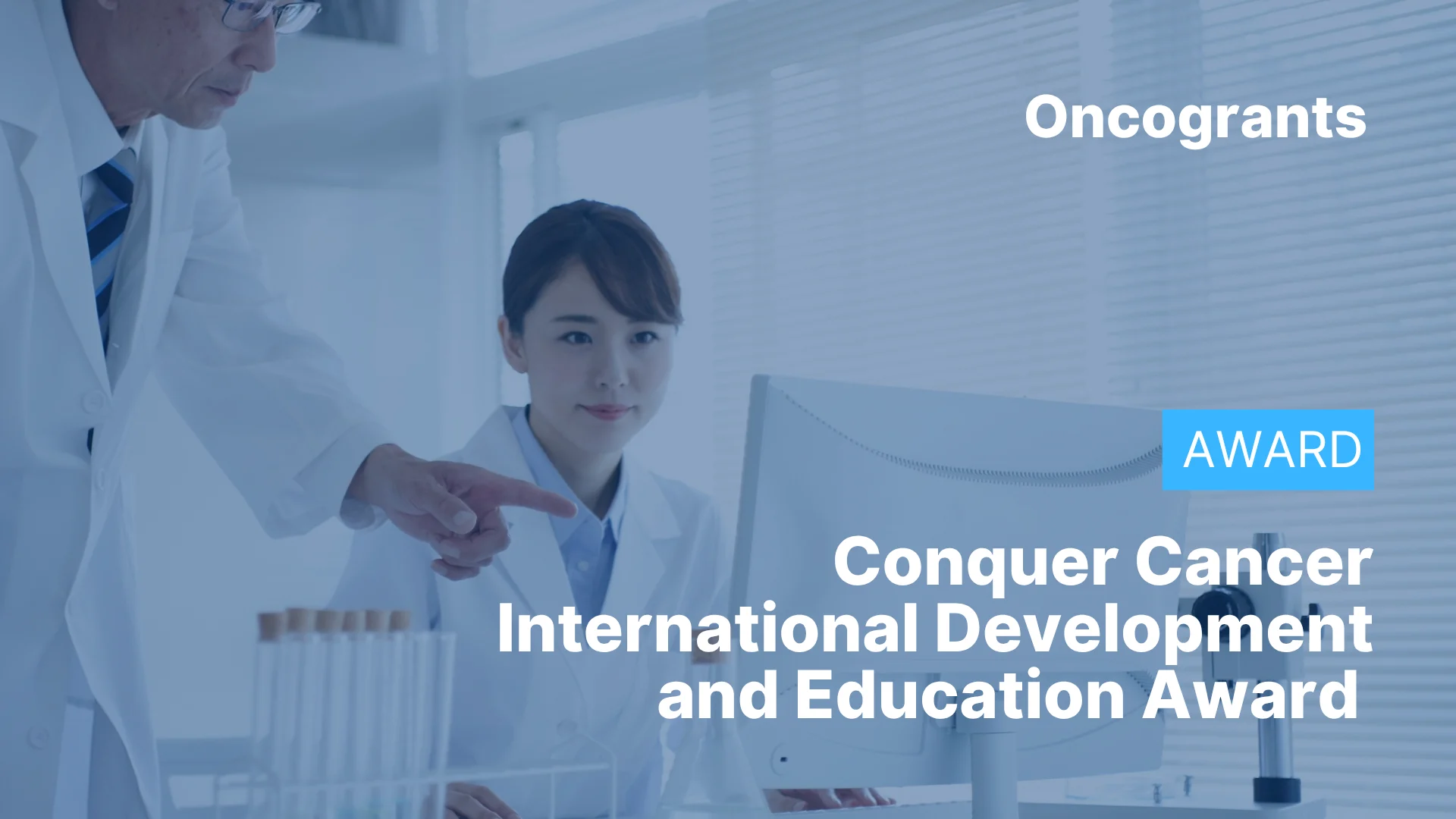International Development