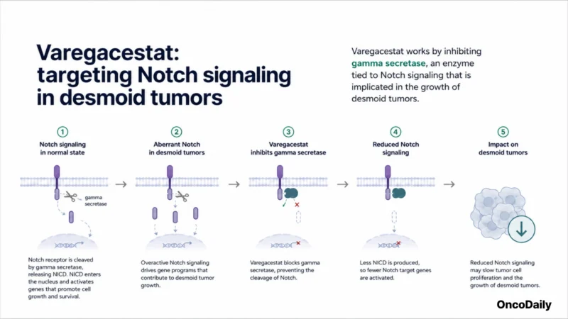 FDA Accepts Immunome's NDA for Varegacestat in Desmoid Tumors, Setting Up an April 2027 Decision