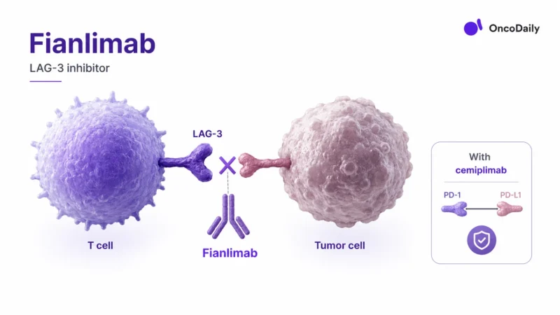 Fianlimab: Mechanism, Dose, Administration, And Clinical Trials 2 Fianlimab: Mechanism, Dose, Administration, And Clinical Trials