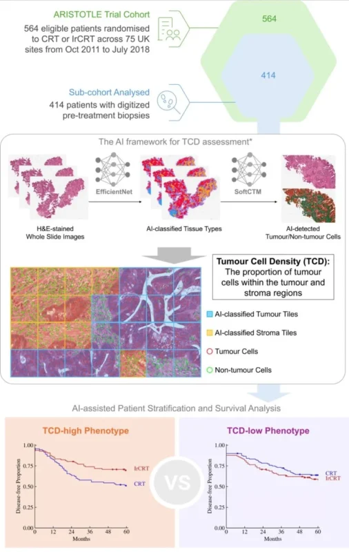 George L. Kumar: Can AI Predict Benefit From Intensified Chemoradiotherapy?