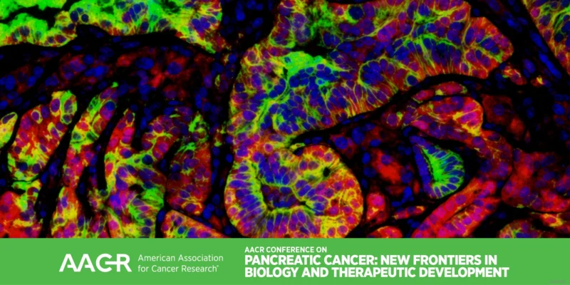 Linghua Wang, AACR