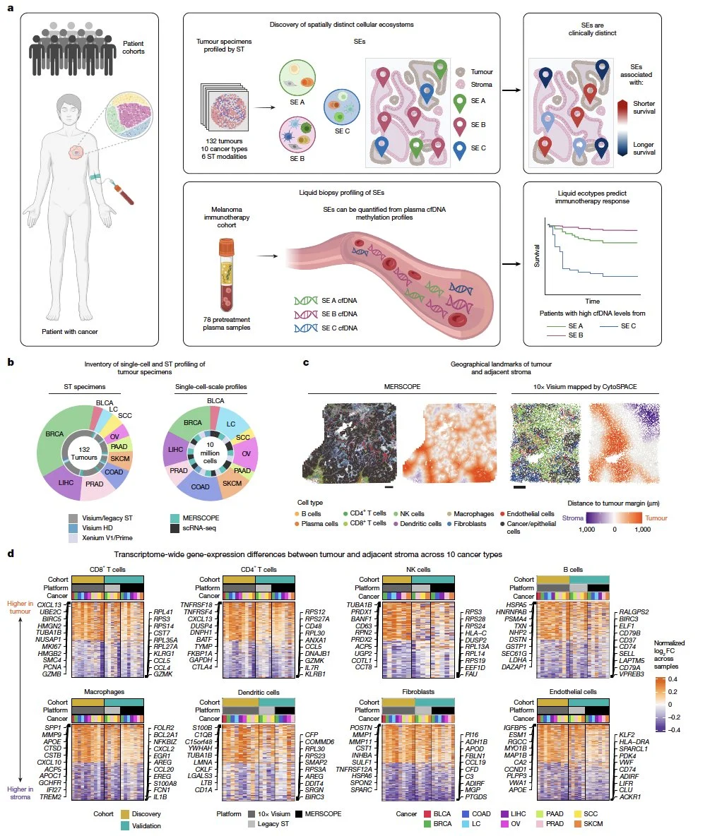 10 Must-Read Posts in Immuno-Oncology This Week 10 10 Must-Read Posts in Immuno-Oncology This Week