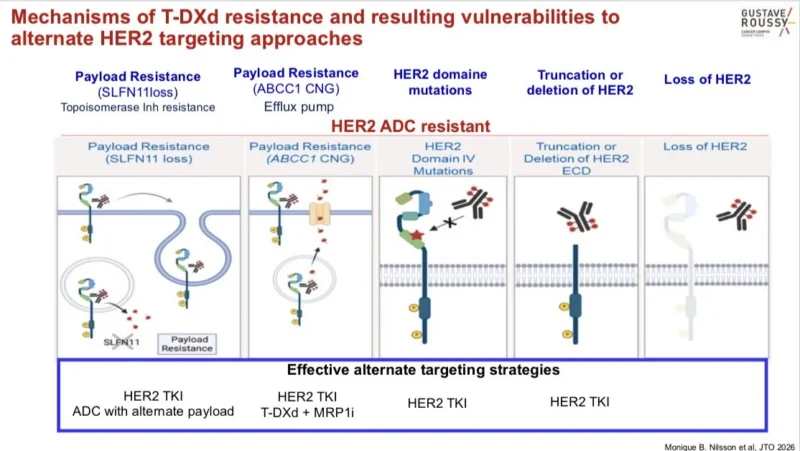 David Planchard: T-DXd as a Game-Changer for HER2-Positive Lung Cancer