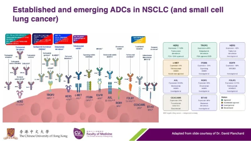 Herbert Loong: ADCs Are Emerging as a Key Platform in Lung Cancer