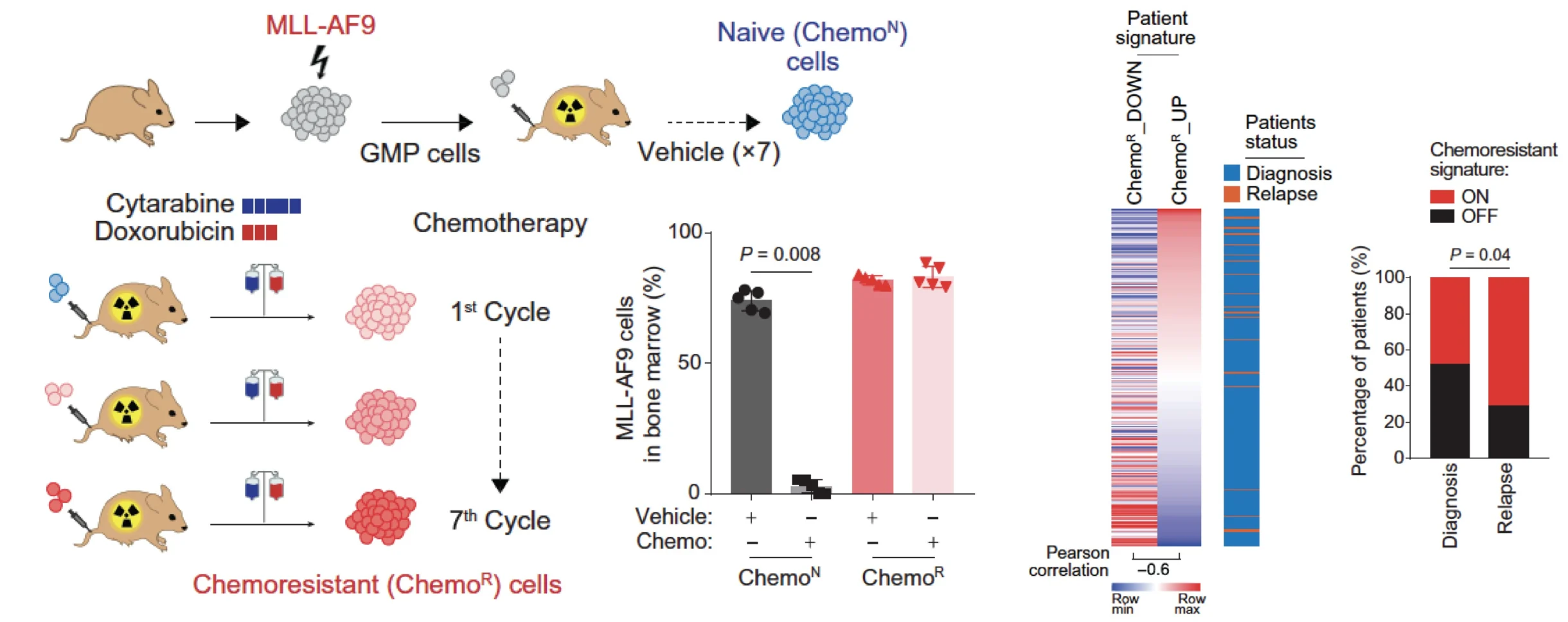 Alex Puissant: Splicing Dysregulation as a Key Driver of Chemoresistance and Relapse in AML