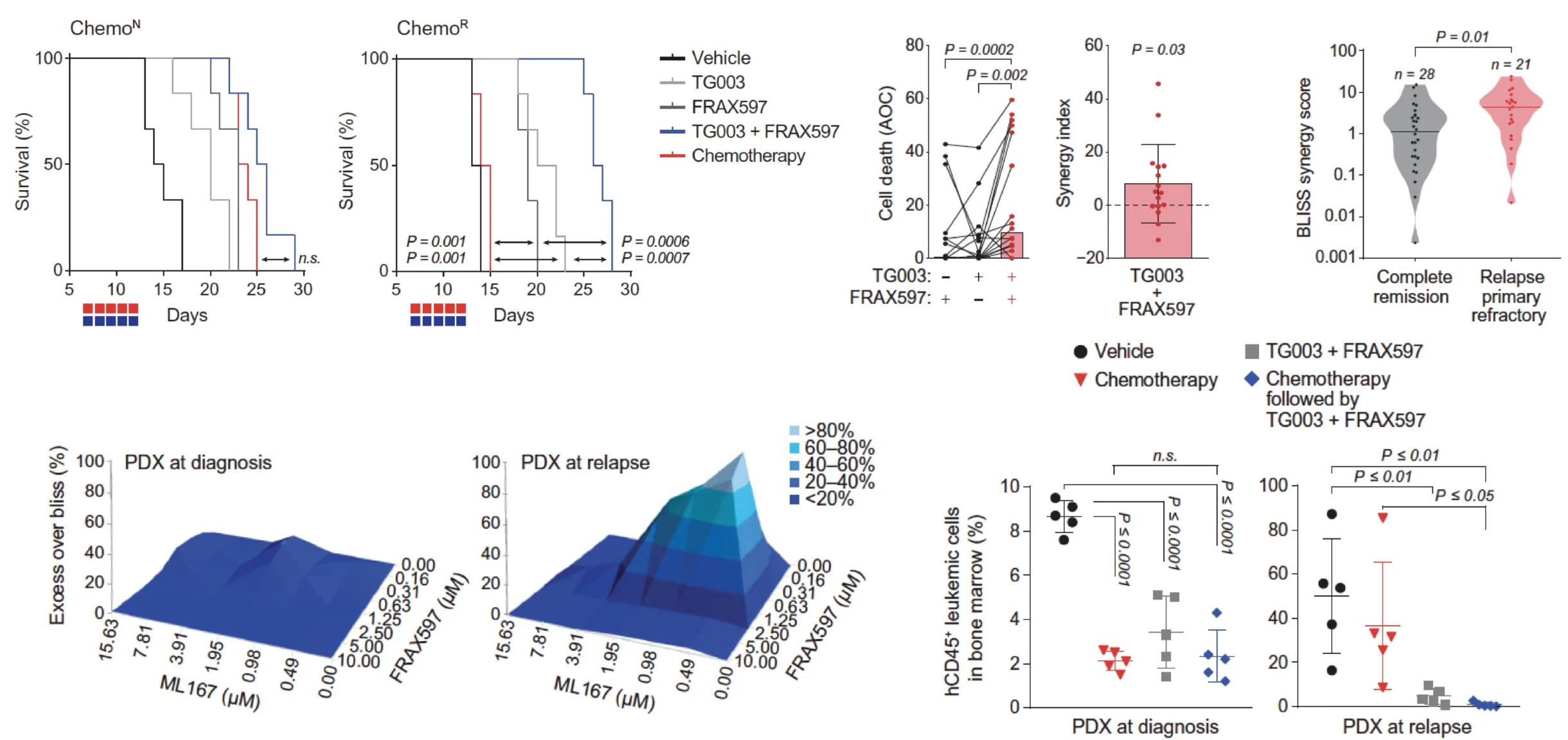 Alex Puissant: Splicing Dysregulation as a Key Driver of Chemoresistance and Relapse in AML