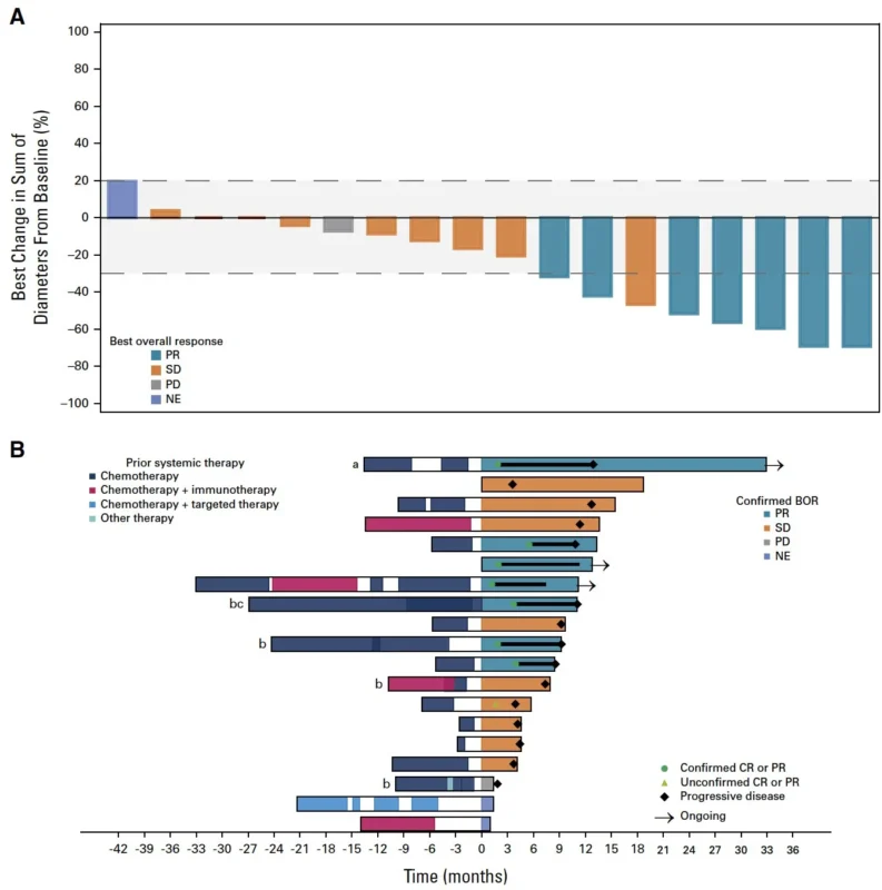 Arndt Vogel: Zenocutuzumab in Rare NRG1 Fusion-Positive Cholangiocarcinoma