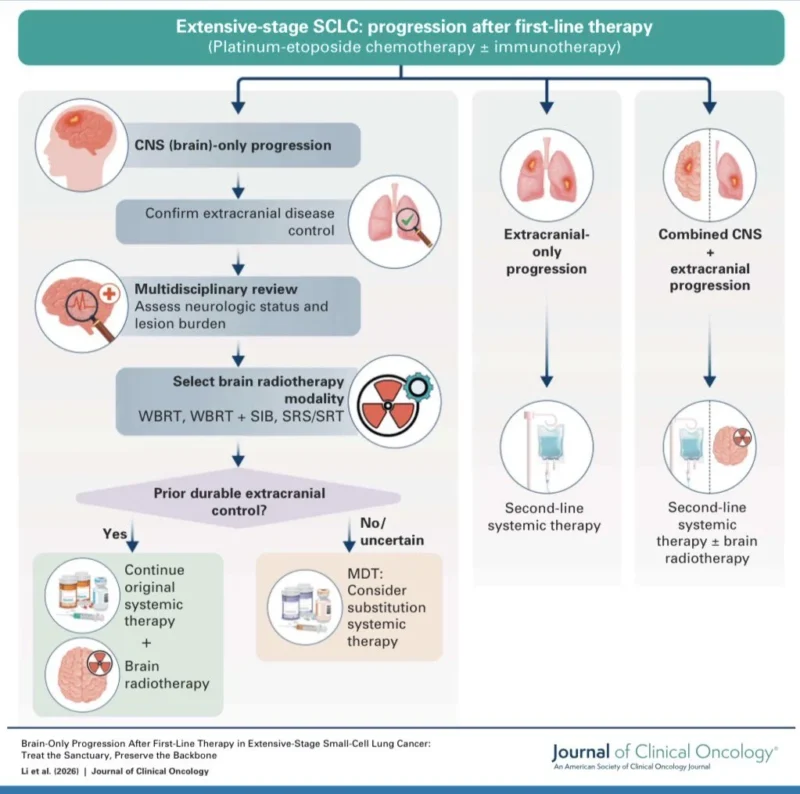 Masahiro Torasawa: Brain-Only Progression in Extensive-Stage SCLC 2 Masahiro Torasawa