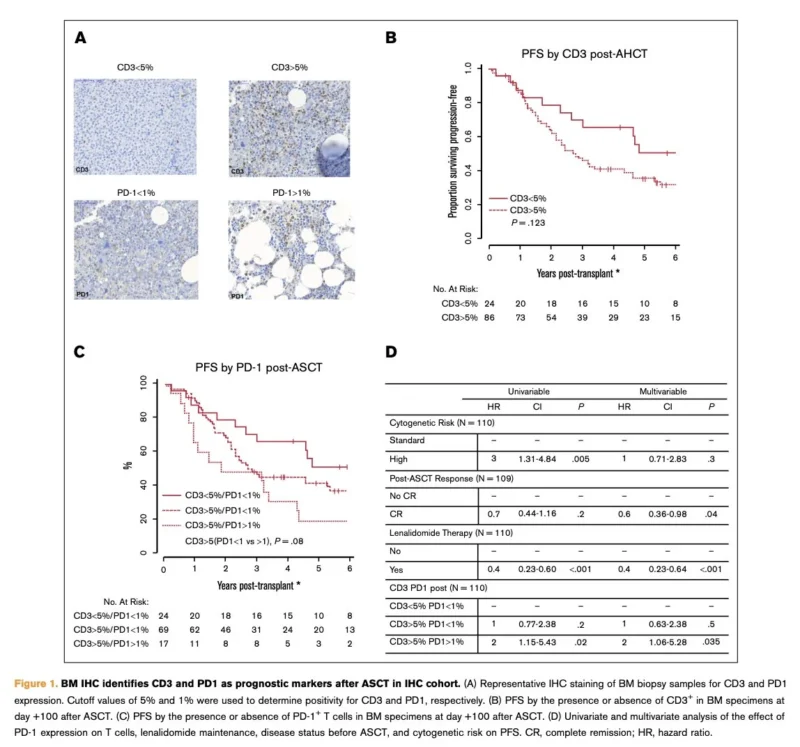 Myeloma Paper of the Day, July 14th, Suggested by Robert Orlowski 2 Myeloma Paper of the Day, July 14th, Suggested by Robert Orlowski