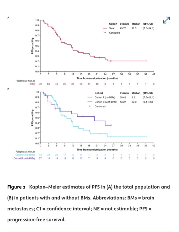 Sarah Sammons and Paolo Tarantino on the Lack of Efficacy Combining T-DXd With Tucatinib 2 Sarah Sammons
