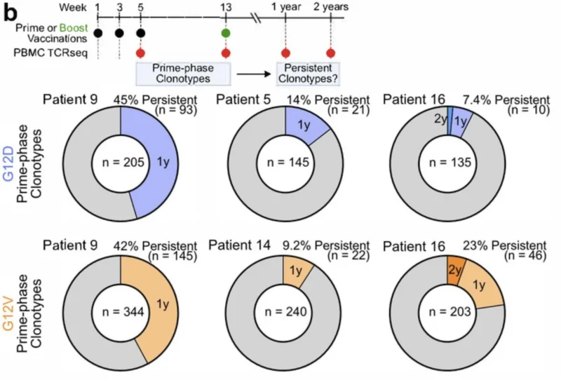 Anirban Maitra։ KRAS-Targeted Vaccine Feasibility in High-Risk Individuals for Pancreatic Cancer 2 Anirban Maitra