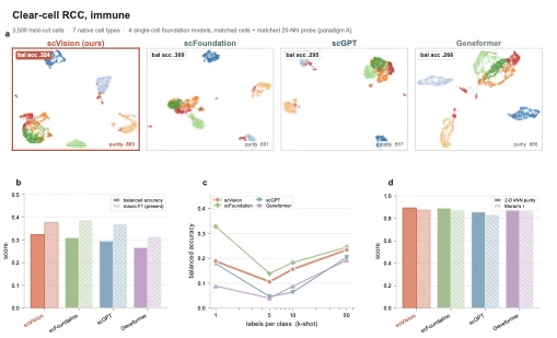 Katy Beckermann: Congratulations to Tauhidul Islam on a Single-Cell AI Model 'scVision' 2 Katy Beckermann