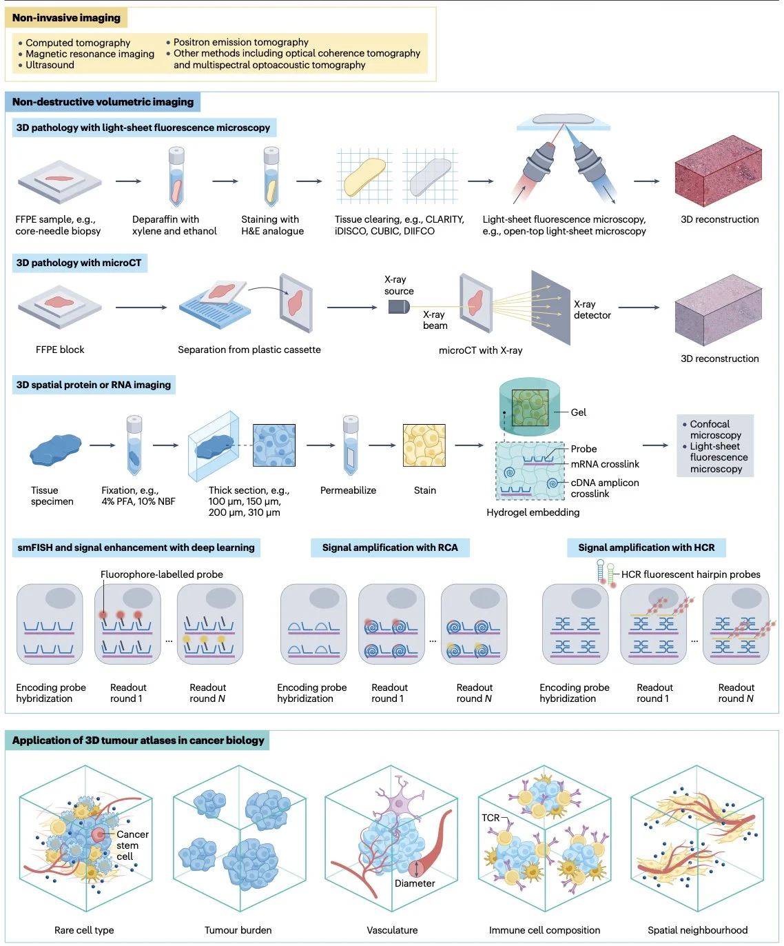 10 Must-Read Posts on Cellular Immunotherapy This Week