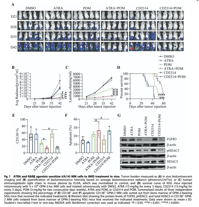 Myeloma Paper of the Day, July 31st, Suggested by Robert Orlowski
