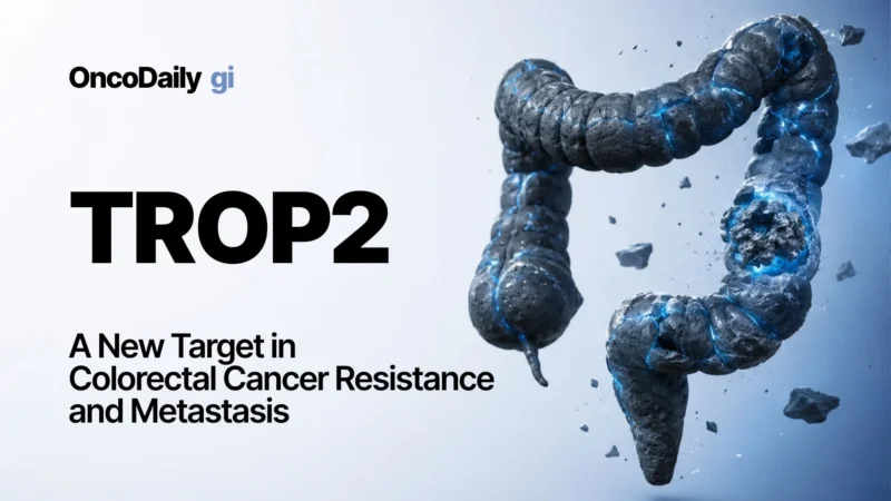 TROP2 Emerges as a Therapeutic Target in Colorectal Cancer Cell States Linked to Metastasis and Resistance