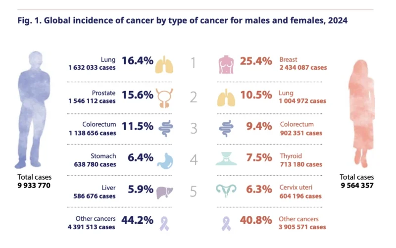 WHO Global Cancer Report 2026: Lung Cancer Shows Why Prevention Still Saves the Most Lives 2 who