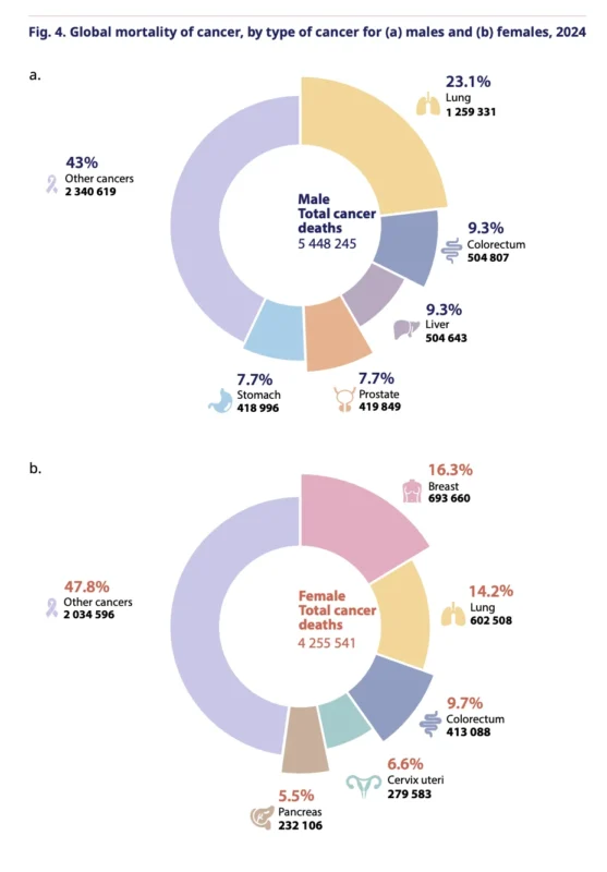 WHO Global Cancer Report 2026: Breast Cancer Survival Still Depends Too Much on Where a Woman Lives 5 WHO