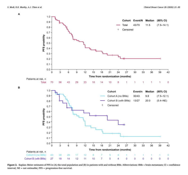 Tucatinib Plus Trastuzumab Deruxtecan Shows Activity but No Clear Added Benefit in HER2+ Advanced Breast Cancer 3 Tucatinib