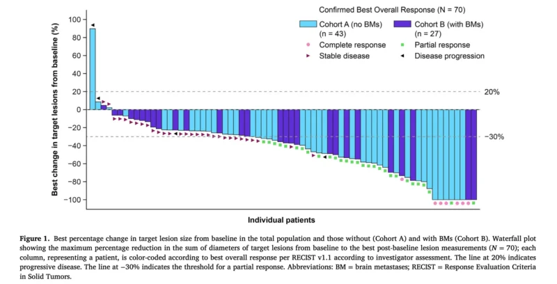 Tucatinib Plus Trastuzumab Deruxtecan Shows Activity but No Clear Added Benefit in HER2+ Advanced Breast Cancer 2 Tucatinib