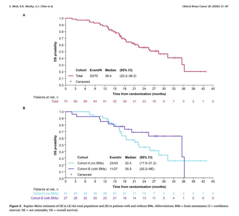 Tucatinib Plus Trastuzumab Deruxtecan Shows Activity but No Clear Added Benefit in HER2+ Advanced Breast Cancer 4 Tucatinib