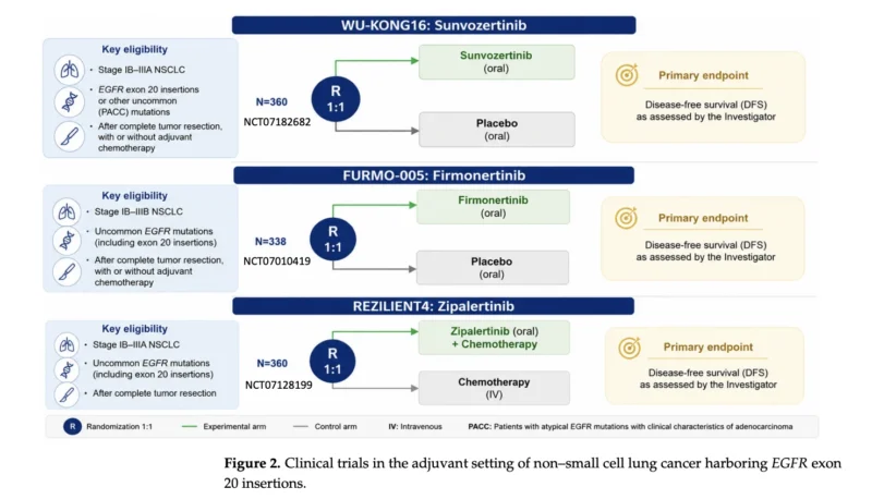EGFR Exon 20