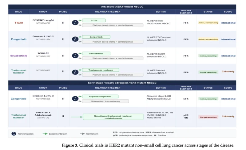EGFR Exon 20
