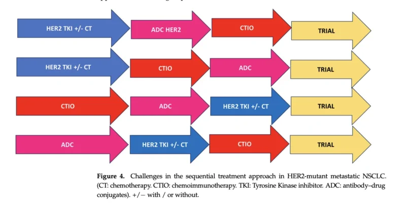 EGFR Exon 20 and HER2-Deregulated NSCLC: The Rare Lung Cancer Subtypes Moving Into a New Therapeutic Era 5 EGFR Exon 20