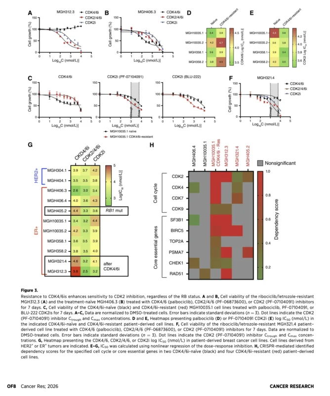CDK2 Inhibition in CDK4/6 - Resistant Breast Cancer: A New Escape Route Under Study 4 CDK4/6
