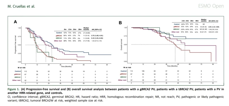 BRCA2