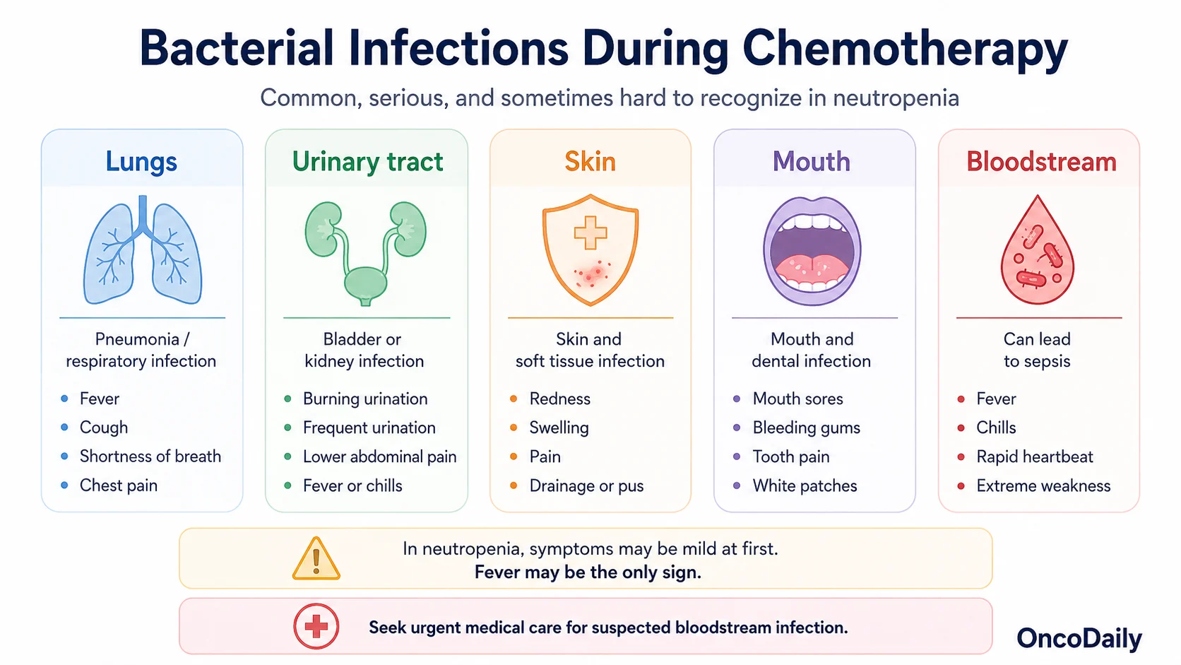 Infections During Chemotherapy and How to Reduce the Risk 4 Infections