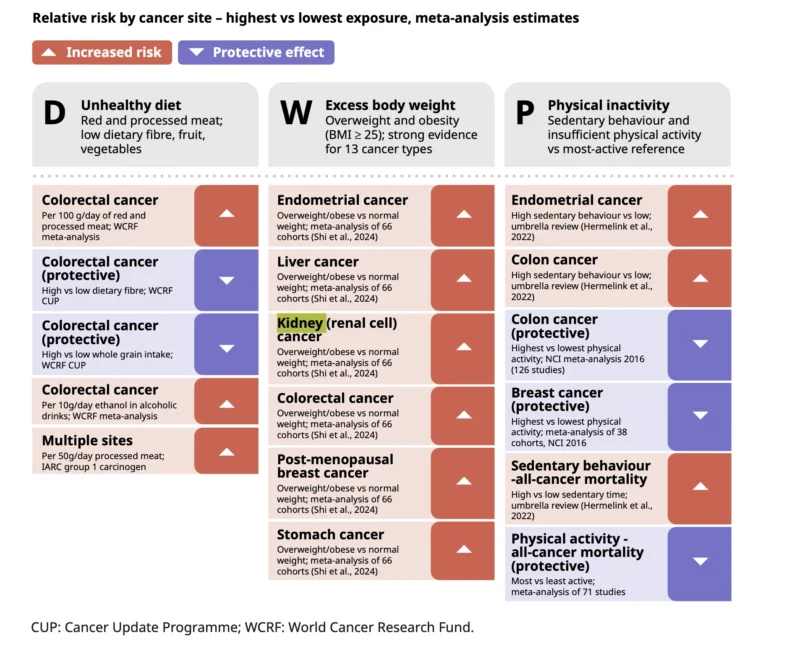WHO 2026 Global Cancer Report: Screening, Prevention and Treatment Gaps in GU Oncology 3 Kidney cancer risk
