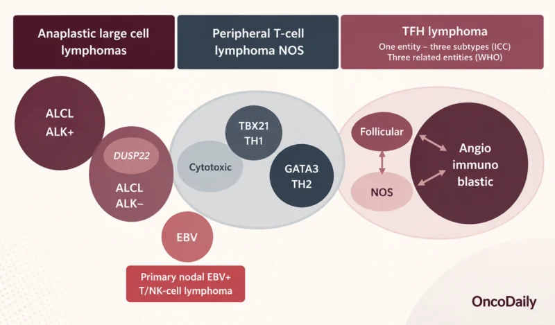 Peripheral T-Cell Lymphomas (PTCL): The Other Compelling Lymphoma Story 3 Peripheral T-Cell Lymphomas (PTCL): The Other Compelling Lymphoma Story
