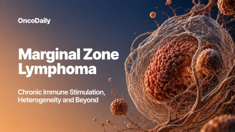 Marginal Zone Lymphoma (MZL): Chronic Immune Stimulation, Heterogeneity and Beyond