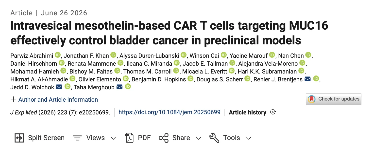 Promising New Approach to Treating Bladder Cancer - Parker Institute for Cancer Immunotherapy 2 Promising New Approach to Treating Bladder Cancer - Parker Institute for Cancer Immunotherapy
