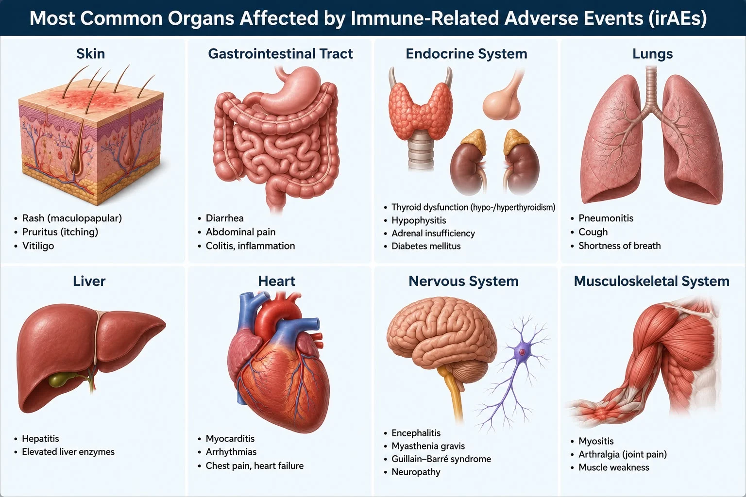 Navigating Immunotherapy Side Effects: Understanding Immune-Related Adverse Events