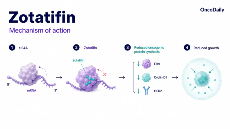Veliparib: Mechanism, Dose, Administration, And Clinical Trials 2 Veliparib: Mechanism, Dose, Administration, And Clinical Trials