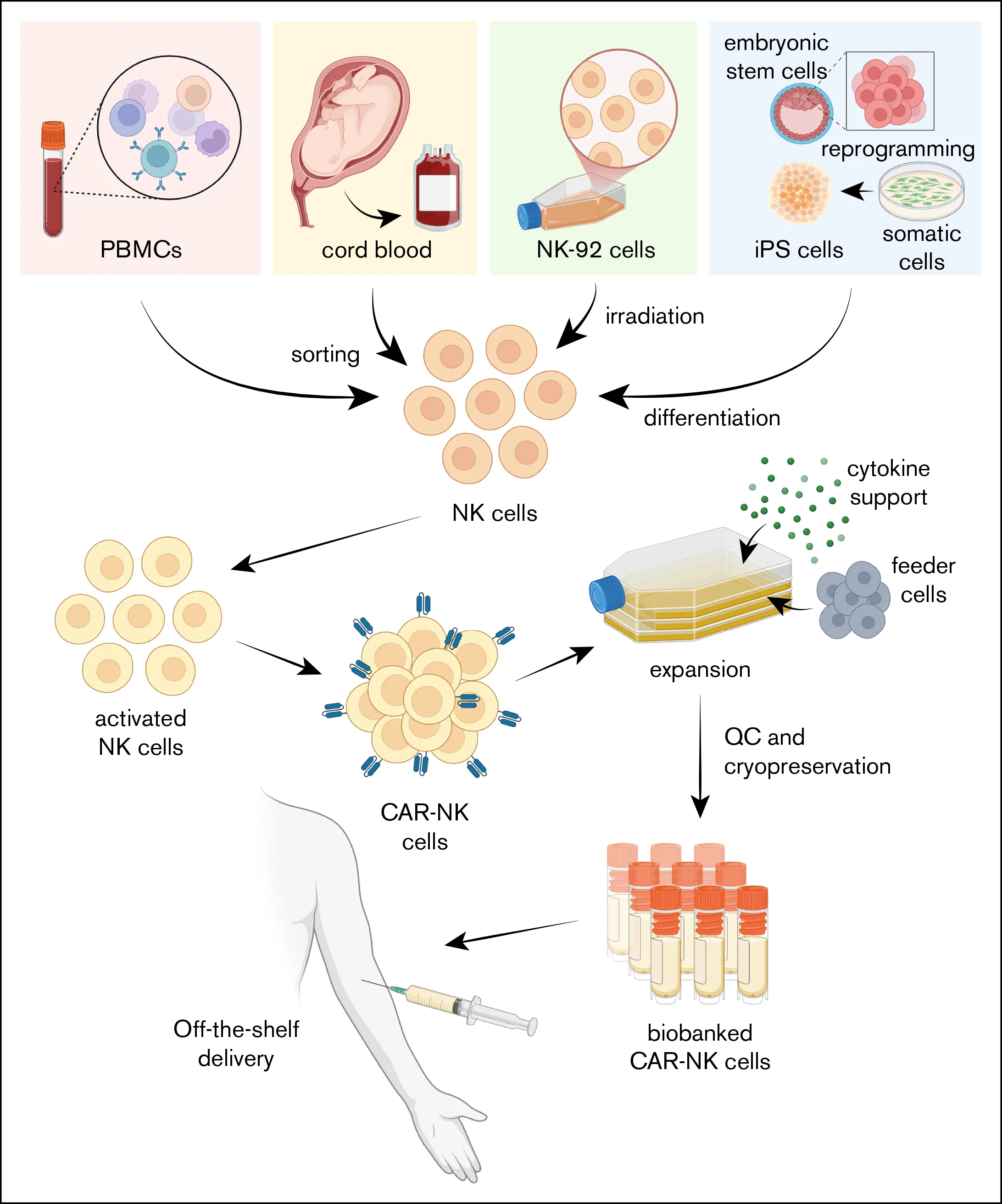 10 Must-Read Posts on Cellular Immunotherapy This Week