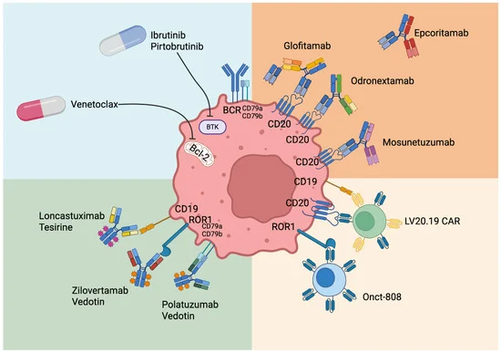 Mantle Cell Lymphoma (MCL): Revealing the Biology Beneath the Mantle and Modern Therapeutic Opportunities 6 Mantle Cell Lymphoma (MCL): Revealing the Biology Beneath the Mantle and Modern Therapeutic Opportunities