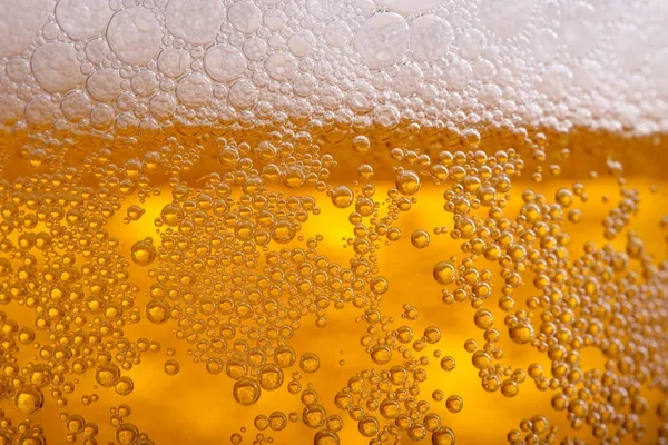 Does Beer Cause Cancer? The Hidden Risks, Common Myths, and Science Explained 2 Does Beer Cause Cancer?