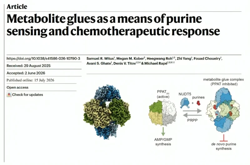 Sam Witus: Endogenous Molecular Glues Reveal New Cancer Therapy Mechanism 2 Sam Witus