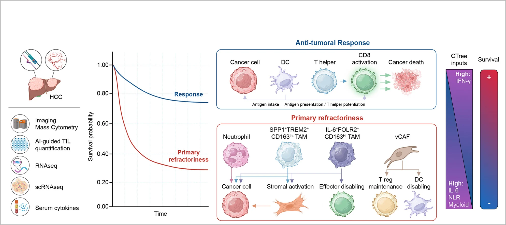 Primary Resistance to Atezolizumab–Bevacizumab in Hepatocellular Carcinoma 2 Primary Resistance to Atezolizumab–Bevacizumab in Hepatocellular Carcinoma