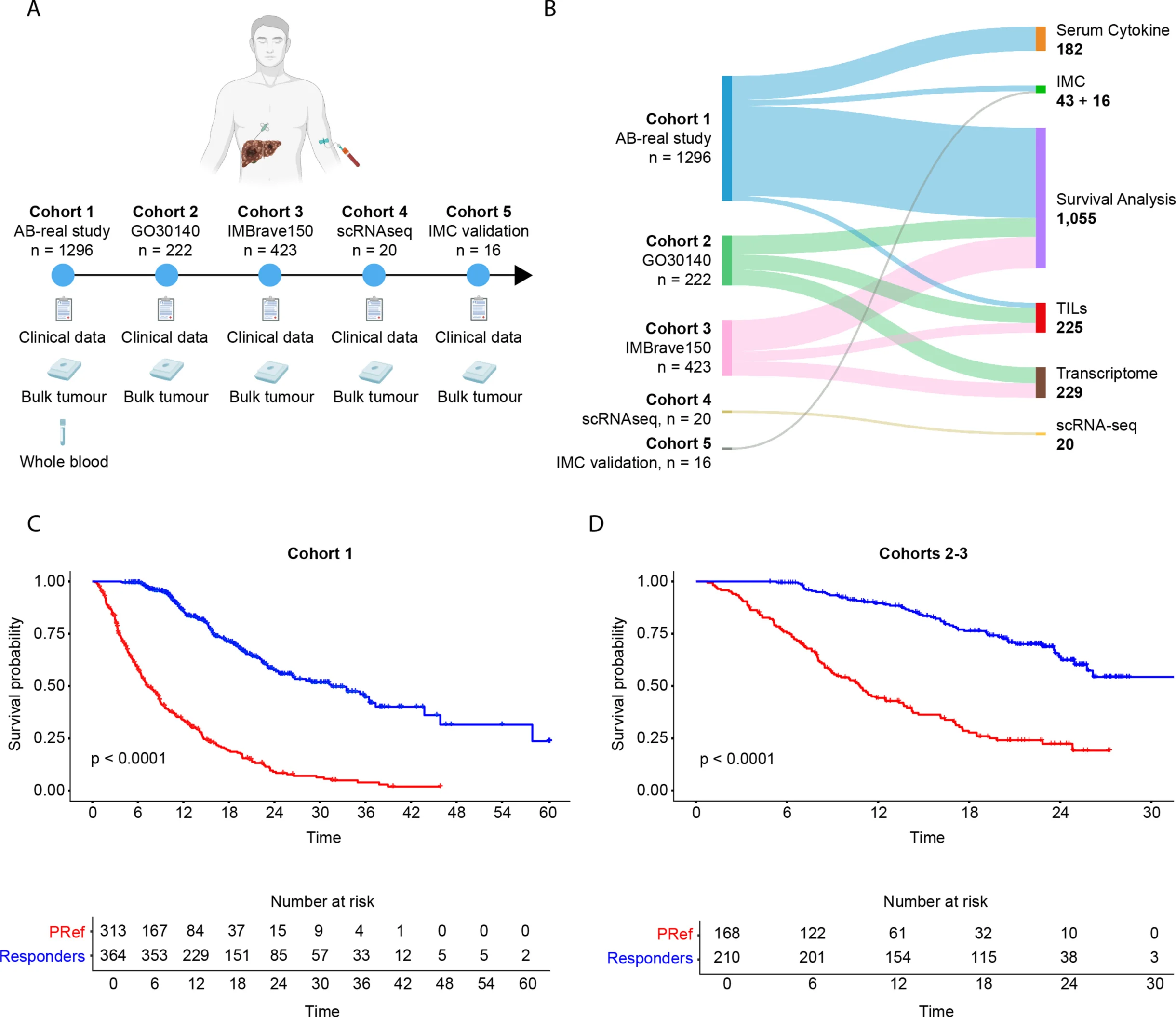 Primary Resistance to Atezolizumab–Bevacizumab in Hepatocellular Carcinoma 3 hepatocellular carcinoma