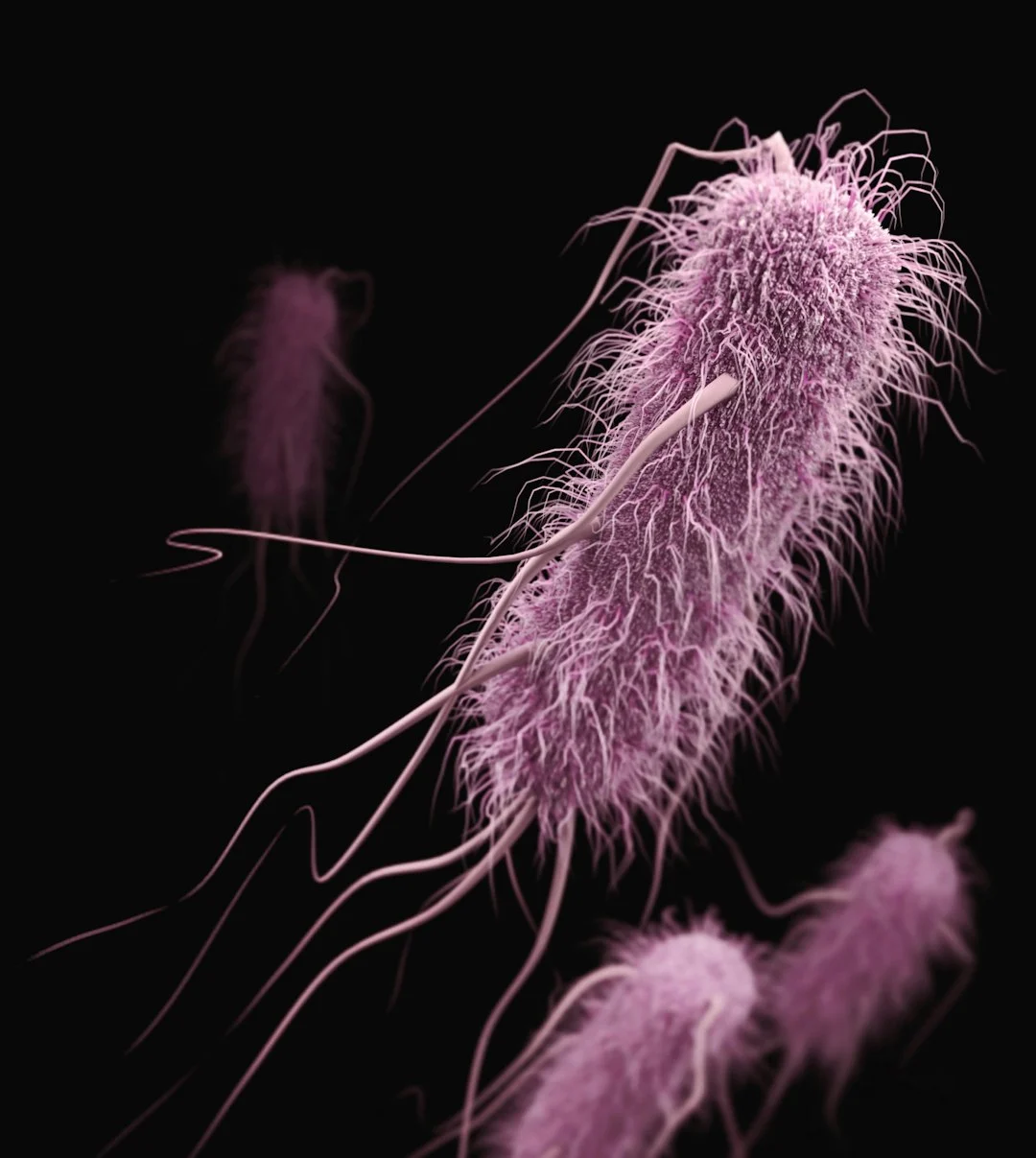 Ken Pienta: What Humans Lost - Why Some Chemicals Are Carcinogens Only to Us