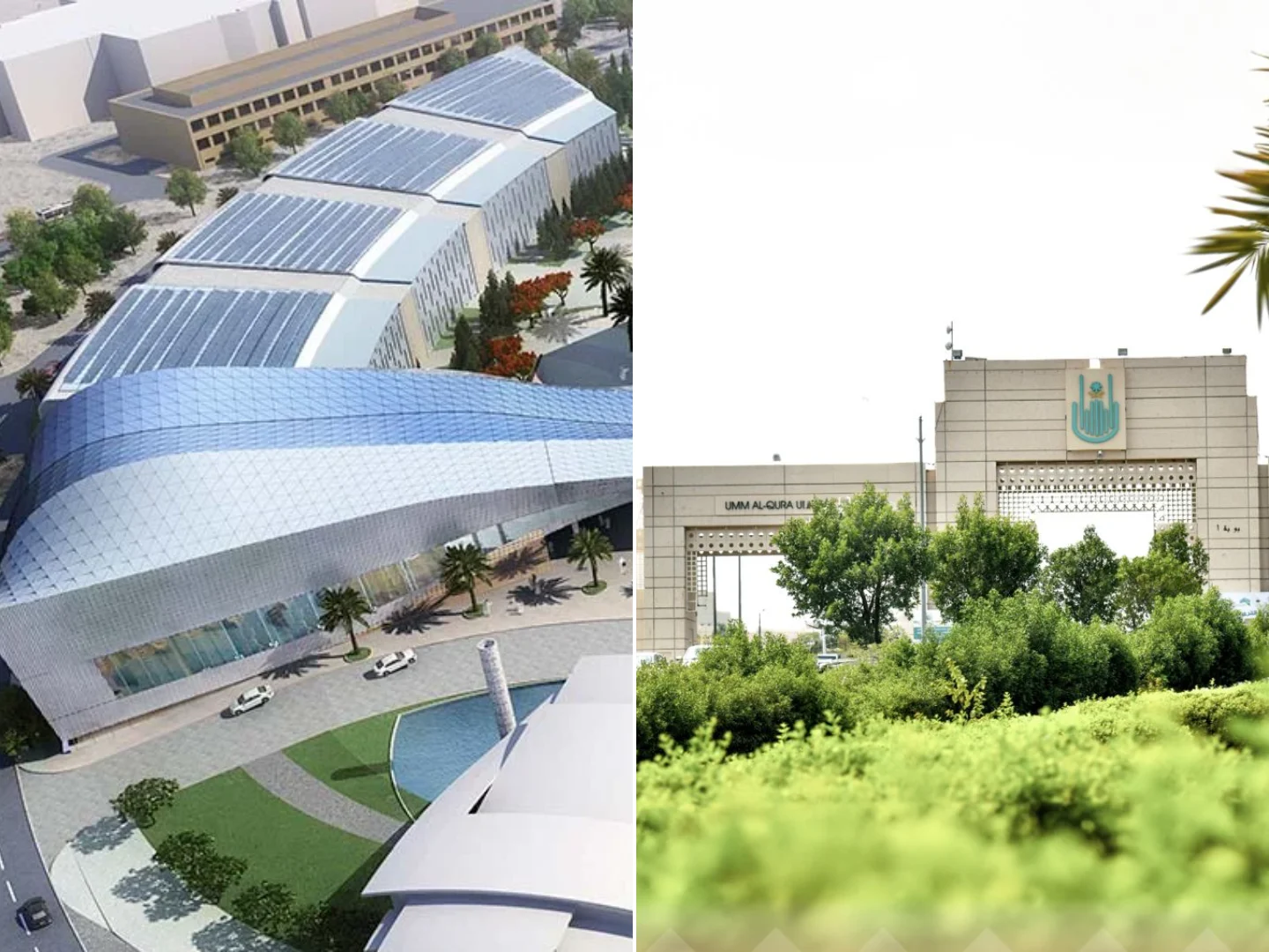 Top Growing Medical Universities in the Wold: 2026 Edition by BIGR 5 Top Growing Medical Universities in the Wold: 2026 Edition by BIGR