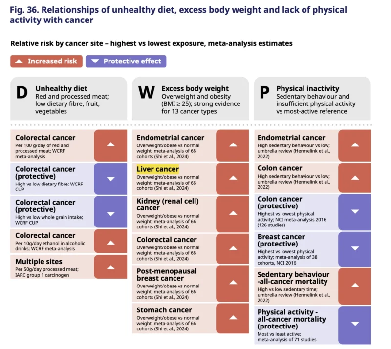 WHO Global Cancer Report 2026: GI Cancers Show the Cost of Delayed Prevention, Diagnosis, and Access