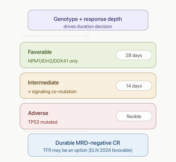 Talha Badar: Rethinking the 28-Day Venetoclax Standard