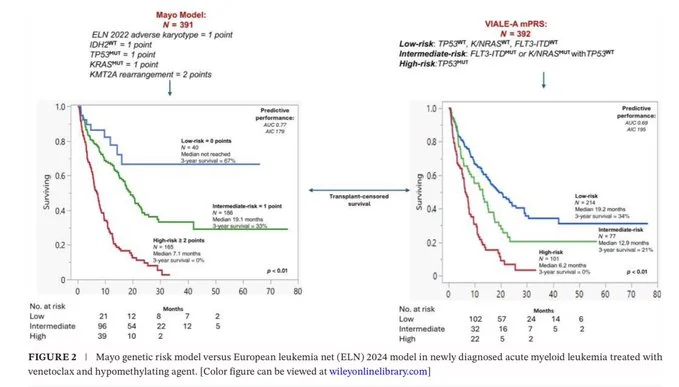 Talha Badar: Rethinking the 28-Day Venetoclax Standard