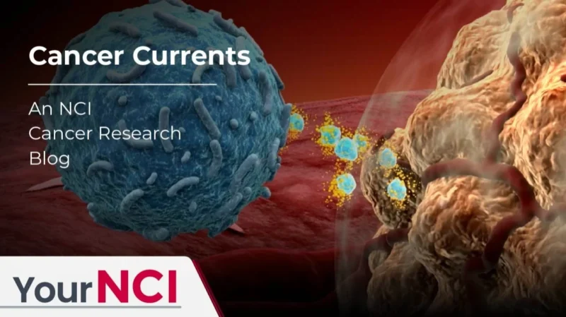 How Decades of NCI Support Led to Groundbreaking Discoveries: The Story of Immune Checkpoint Inhibitors